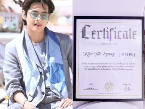 V-nubia-Certific-2024