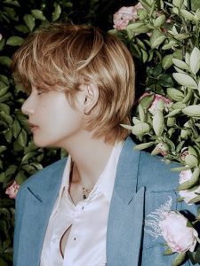 V-profil-9a